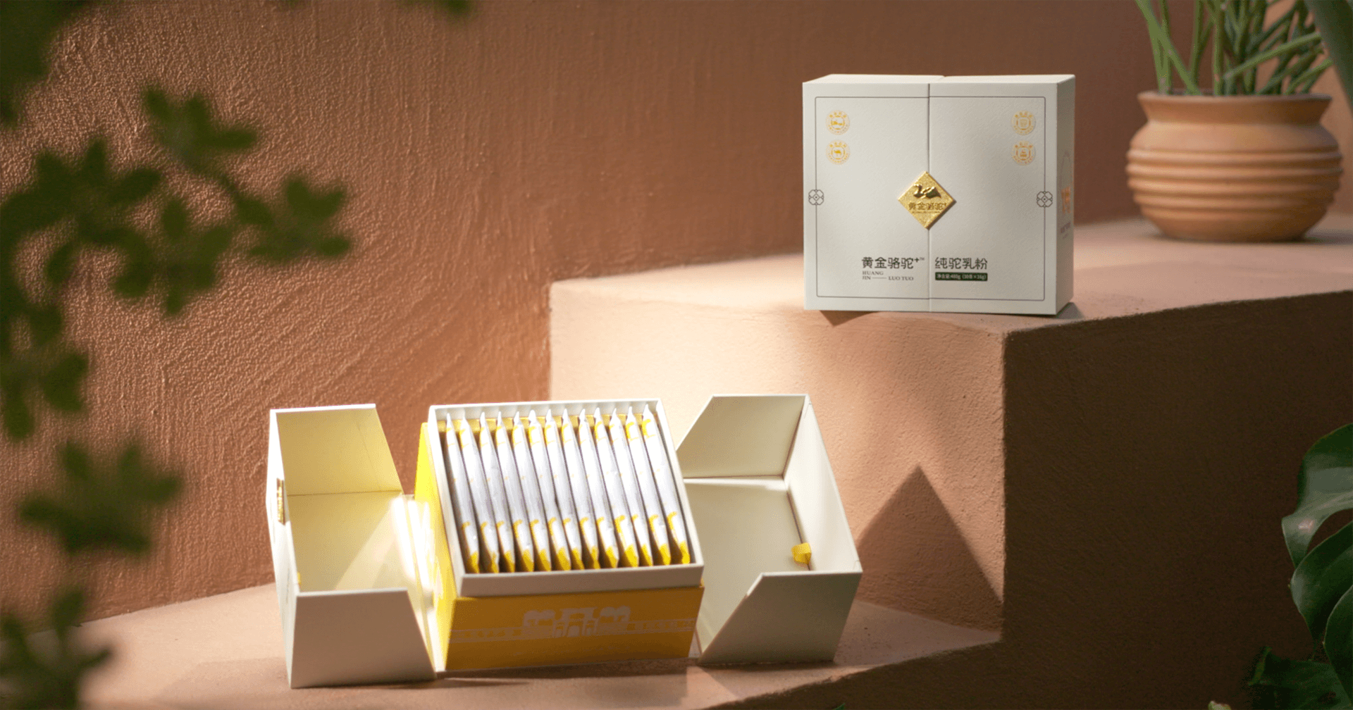 定位小众高端乳粉，尊龙官方平台推出驼奶品牌“黄金骆驼+”，角逐乳品新市。